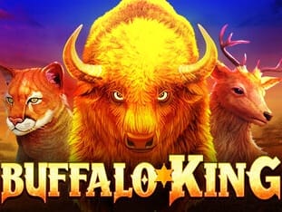 Raja Buffalo screenshot